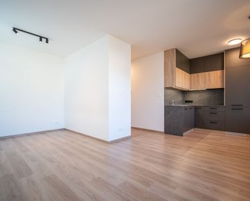 Hľadáme 1 izbový byt na Idanskej ulici, Košice